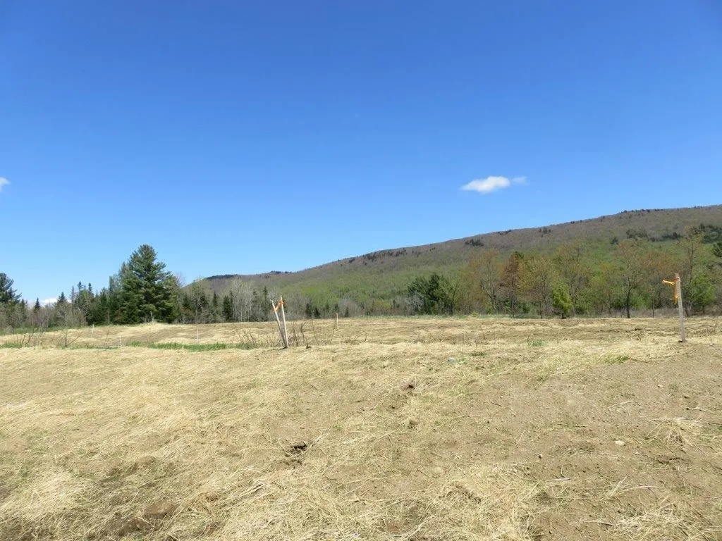 0 Nh Route 118 Canaan NH 03741
