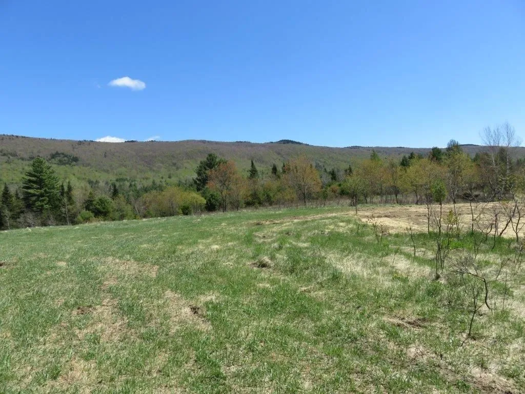 0 Nh Route 118 Canaan NH 03741