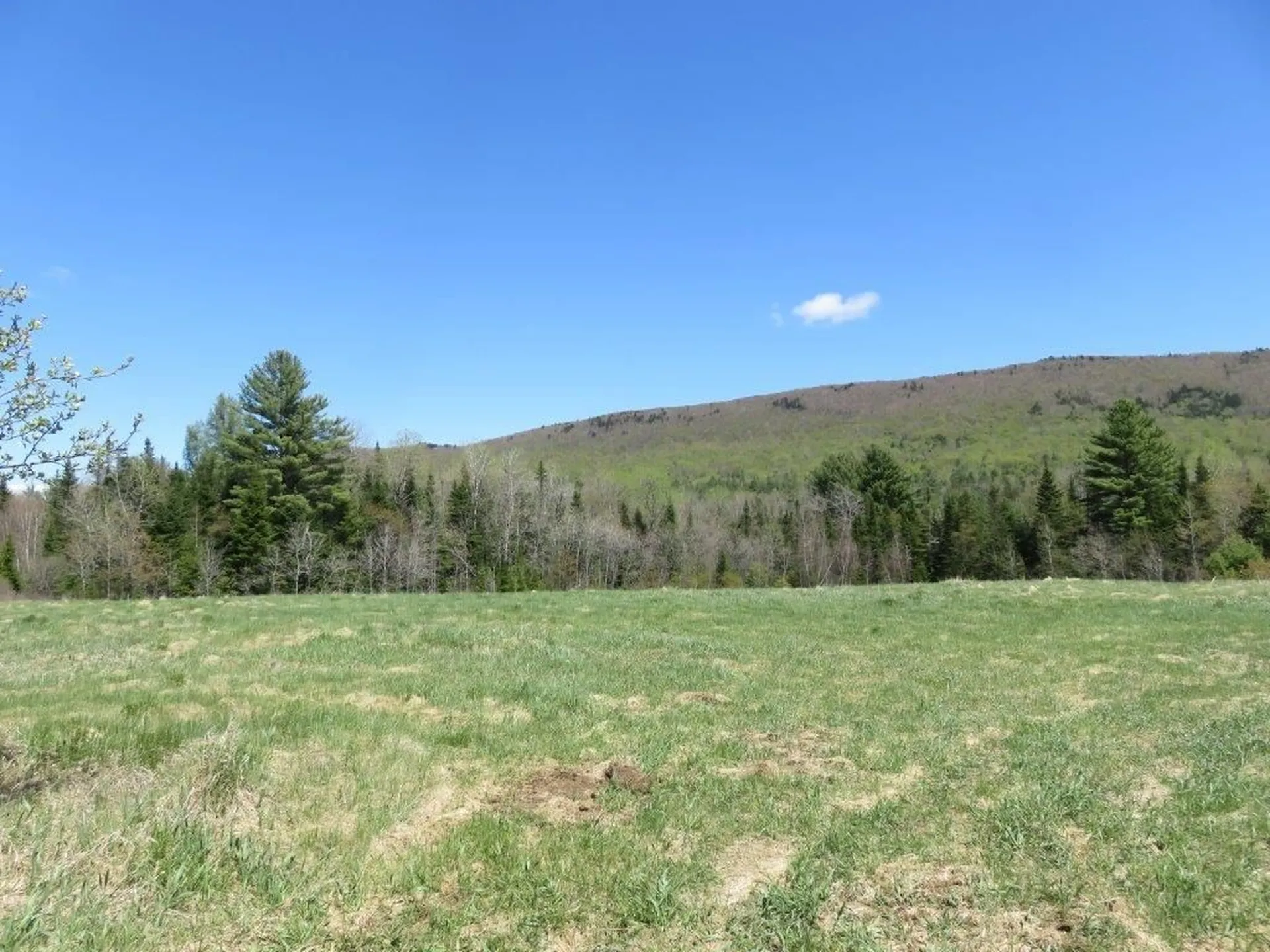 0 Nh Route 118 Canaan NH 03741
