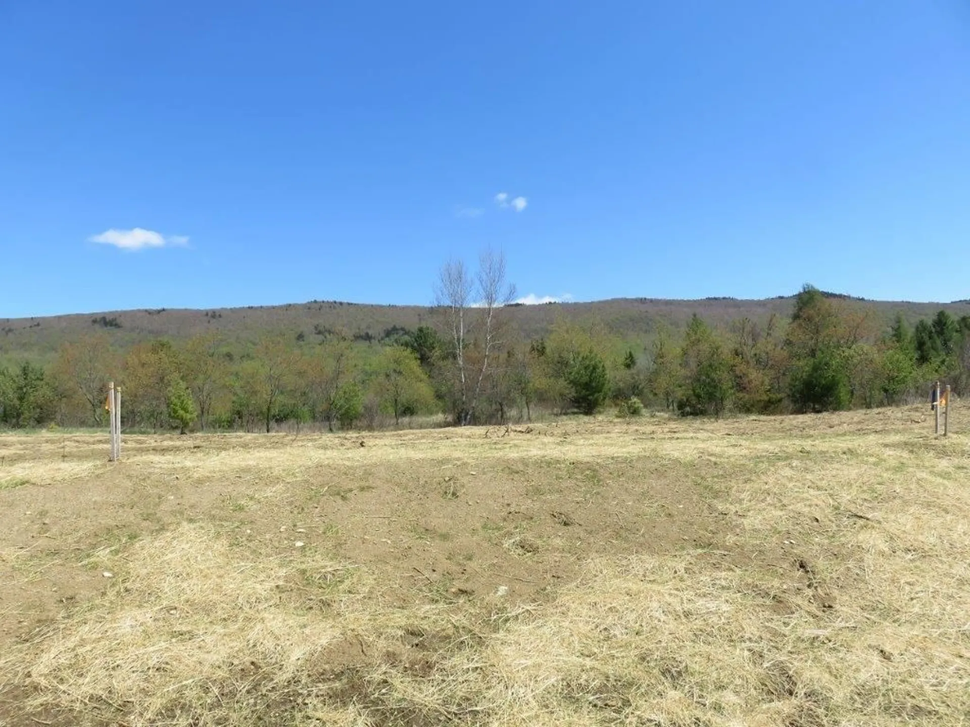 0 Nh Route 118 Canaan NH 03741
