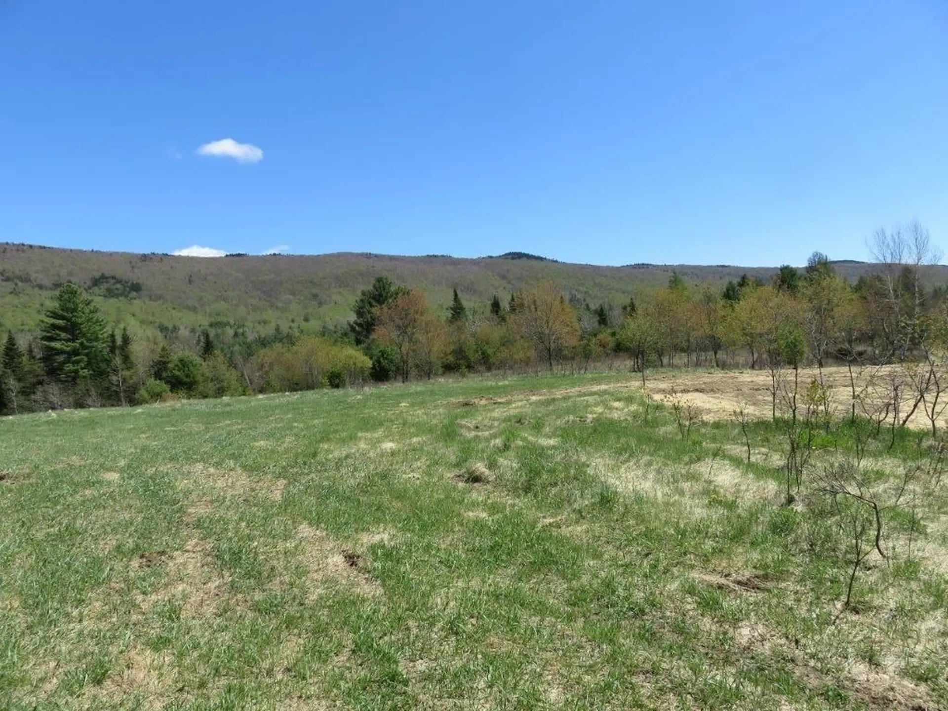 0 Nh Route 118 Canaan NH 03741