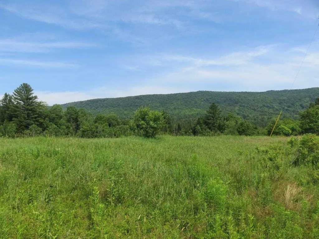 0 Nh Route 118 Canaan NH 03741