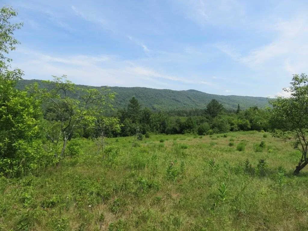 0 Nh Route 118 Canaan NH 03741
