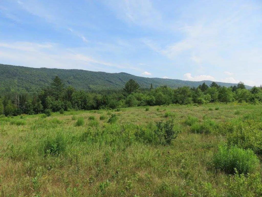 0 Nh Route 118 Canaan NH 03741