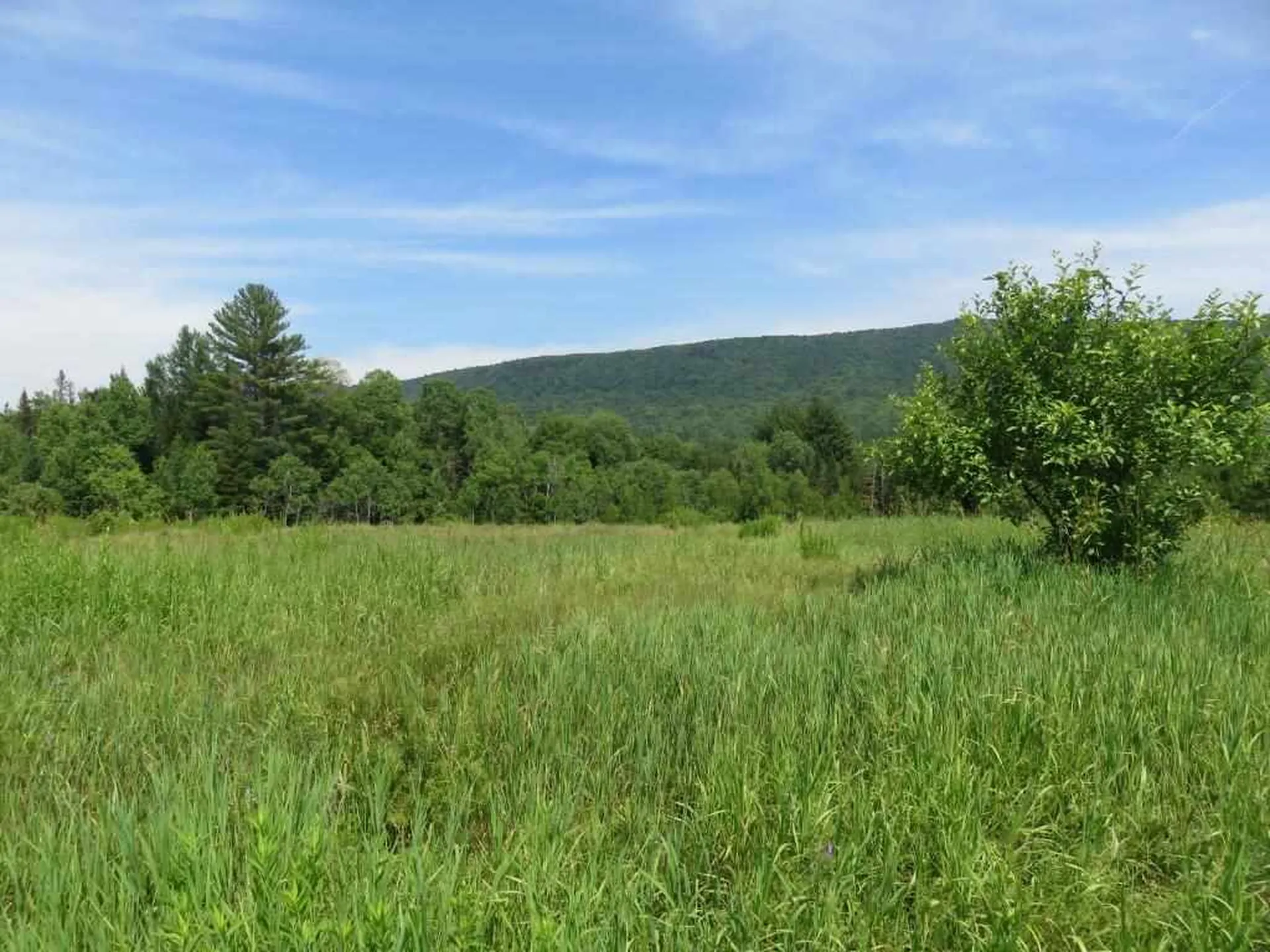 0 Nh Route 118 Canaan NH 03741