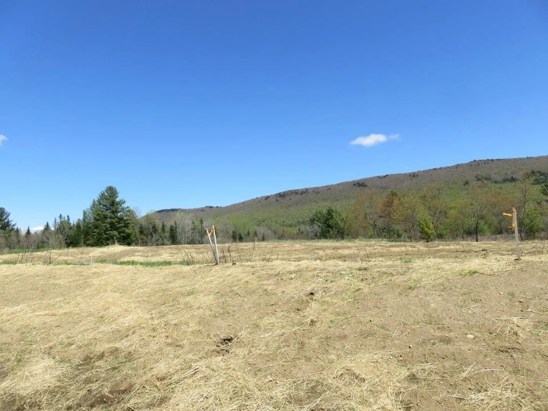 0 Nh Route 118 Canaan NH 03741