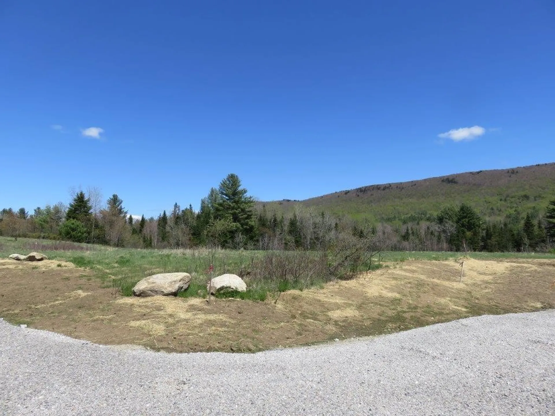0 Nh Route 118 Canaan NH 03741
