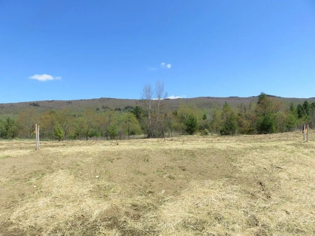 0 Nh Route 118 Canaan NH 03741