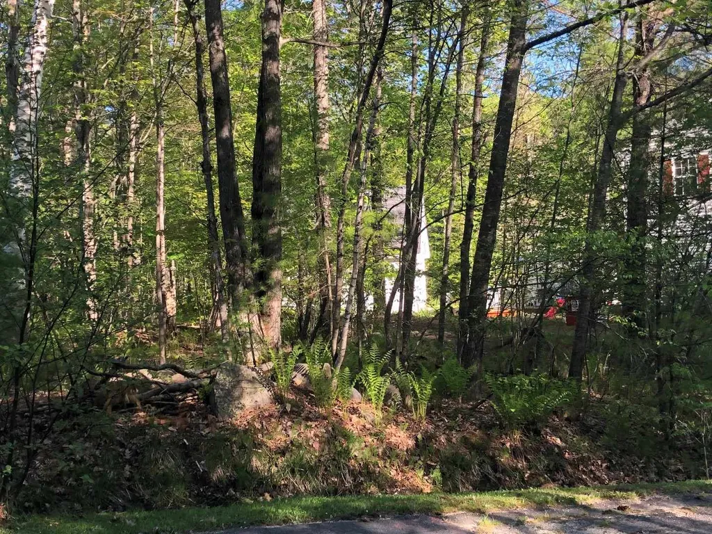 16 Frank Goodwin Road Wolfeboro NH 03894