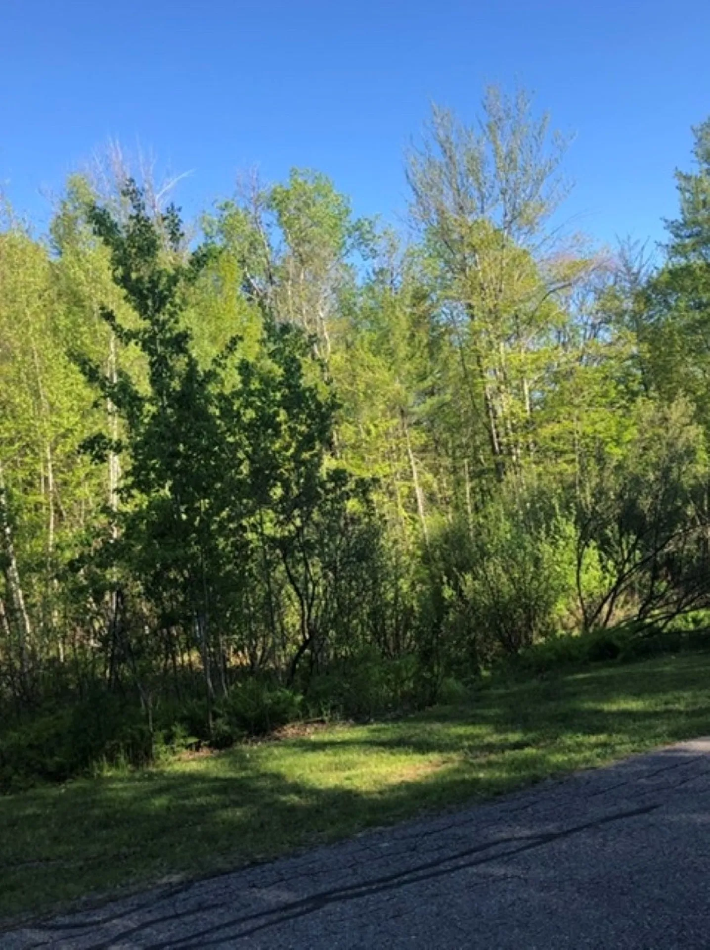 16 Frank Goodwin Road Wolfeboro NH 03894