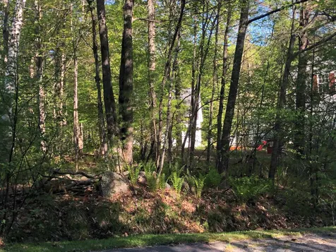 16 Frank Goodwin Road Wolfeboro NH 03894