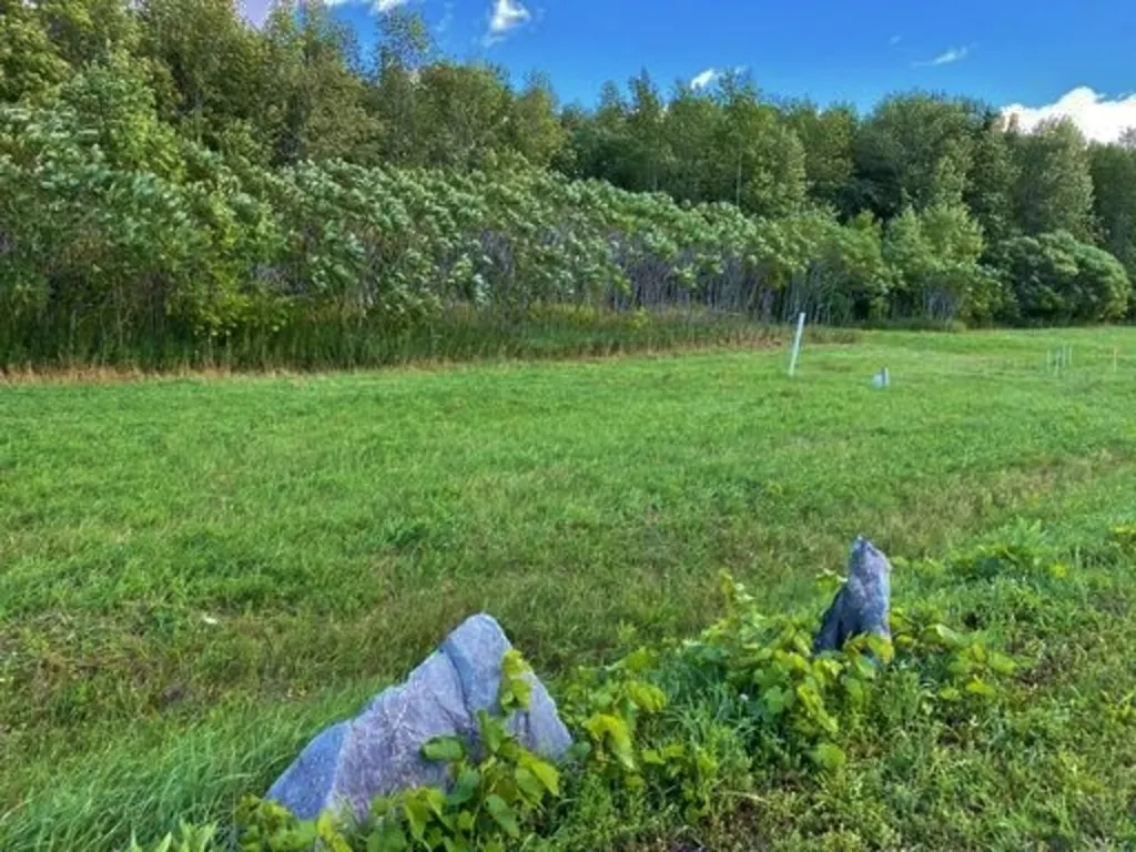 Lot #3 Terrapin Lane Alburgh VT 05440