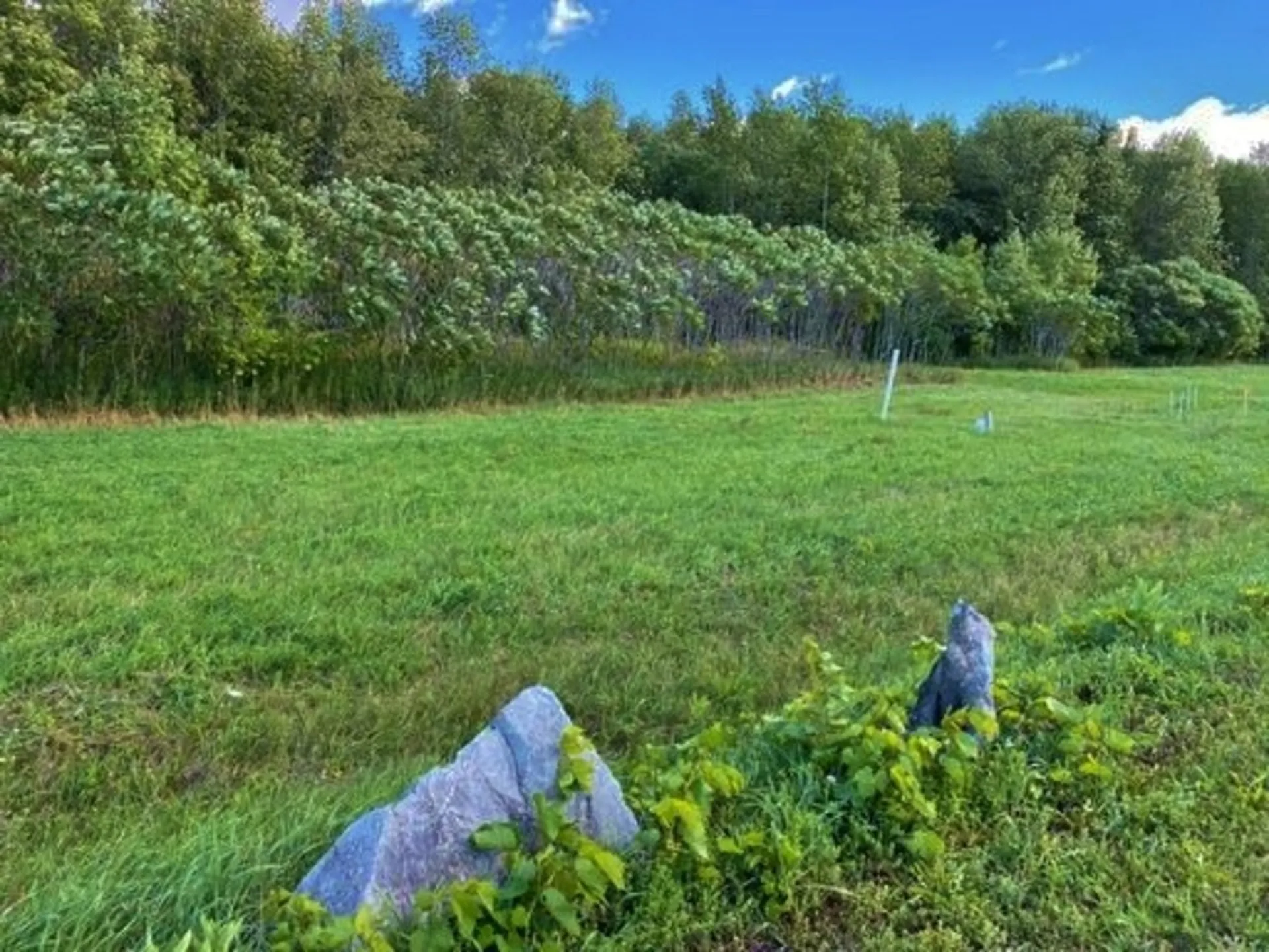 Lot #3 Terrapin Lane Alburgh VT 05440