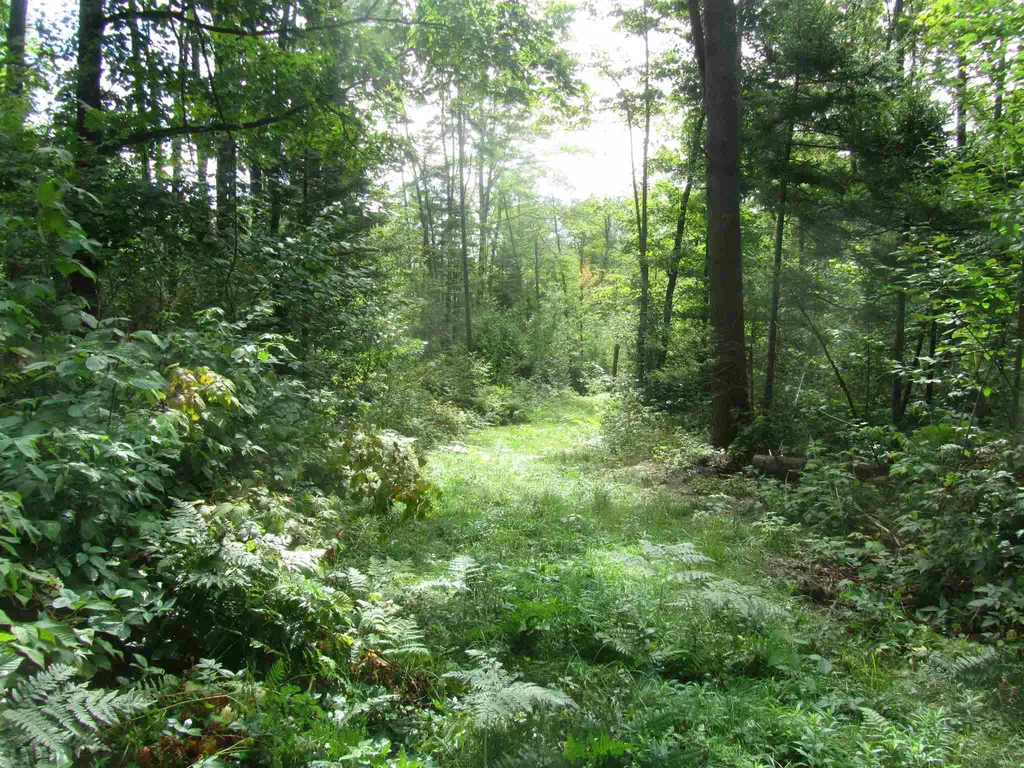 0 Dartt Hill And Lilliesville Brook Road Bethel VT 05032