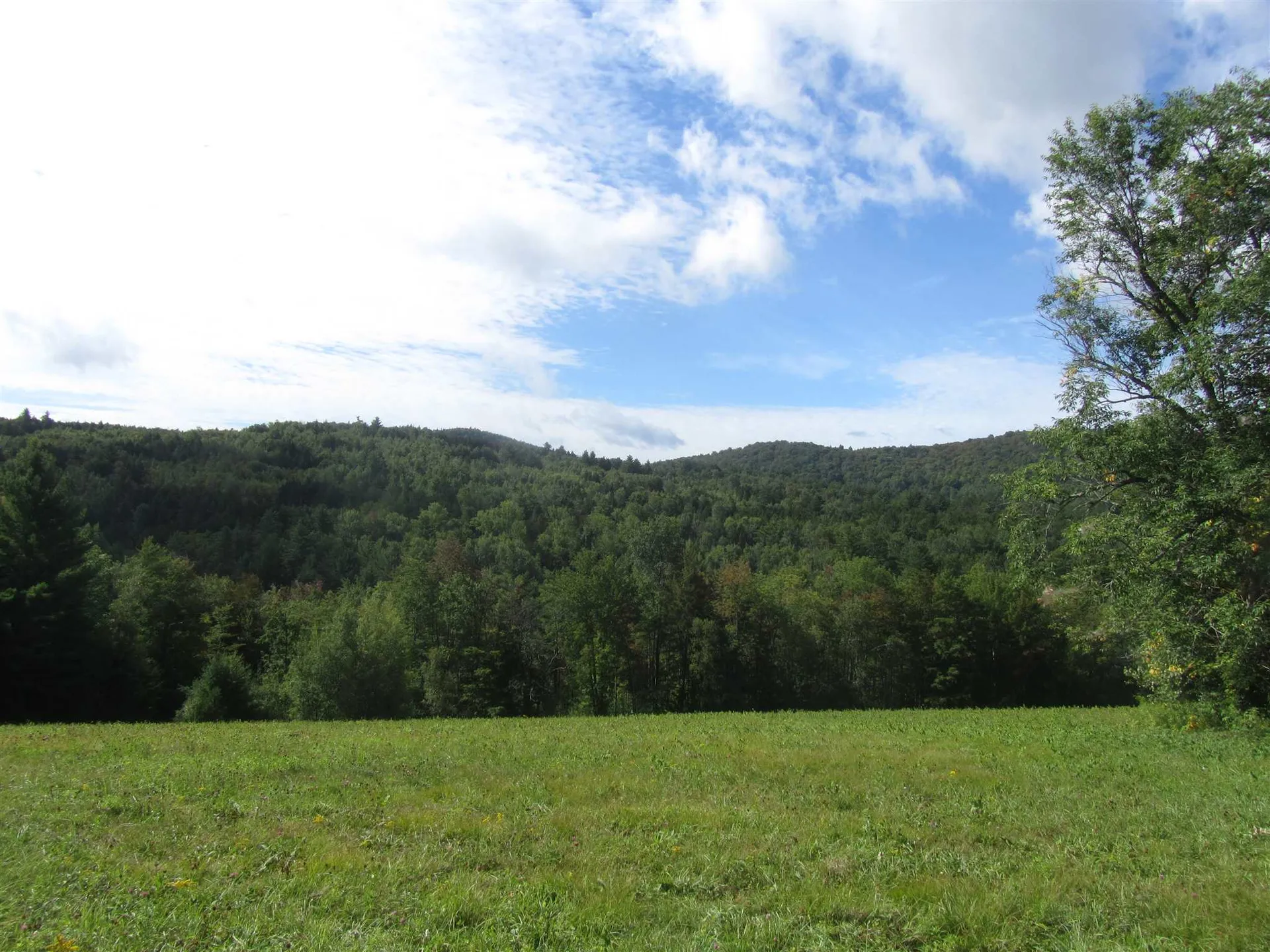 0 Dartt Hill And Lilliesville Brook Road Bethel VT 05032