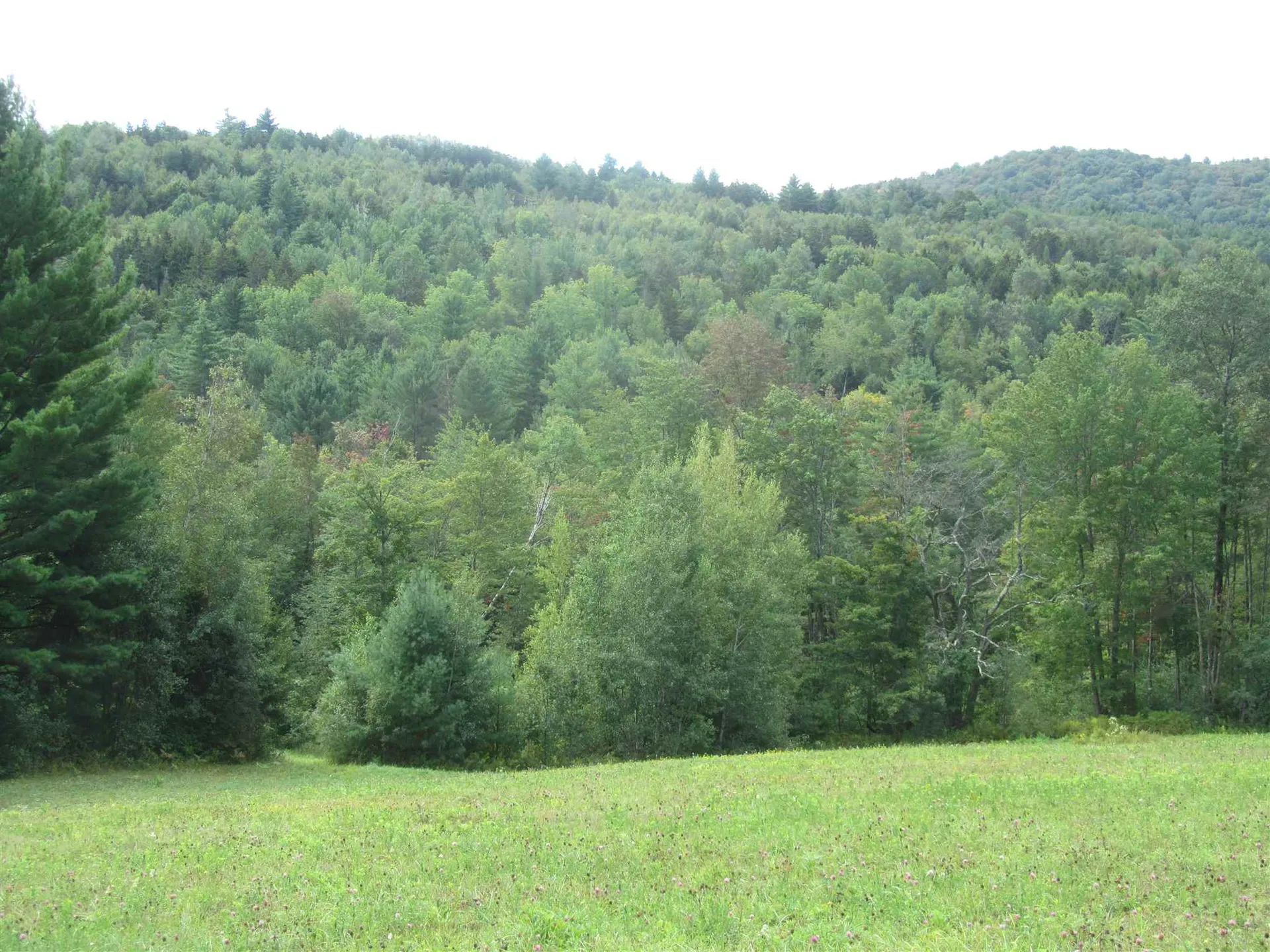 0 Dartt Hill And Lilliesville Brook Road Bethel VT 05032