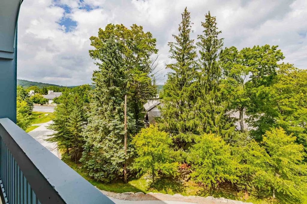 43 Middle Ridge Road Stratton VT 05155