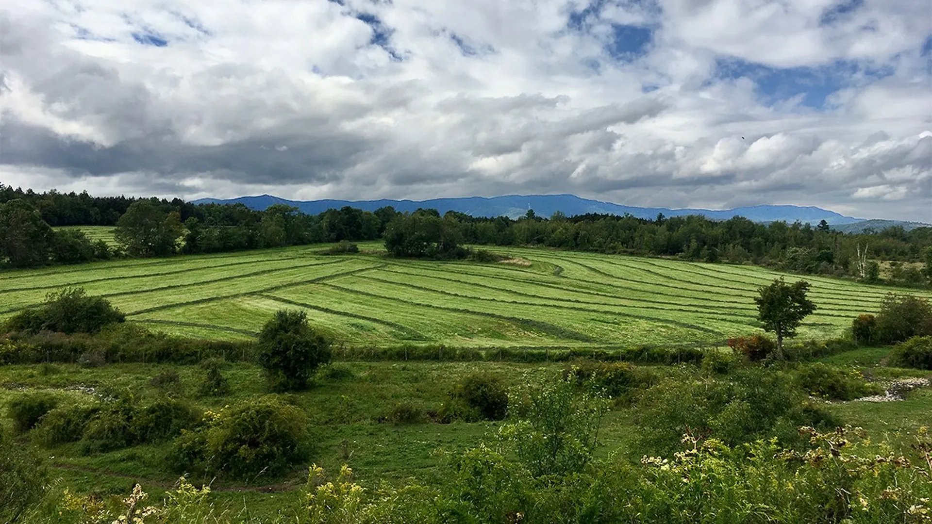 4368 East Warren Road Warren VT 05674