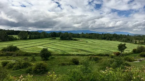 4368 East Warren Road Warren VT 05674