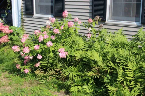 76 River Street Woodstock VT 05091