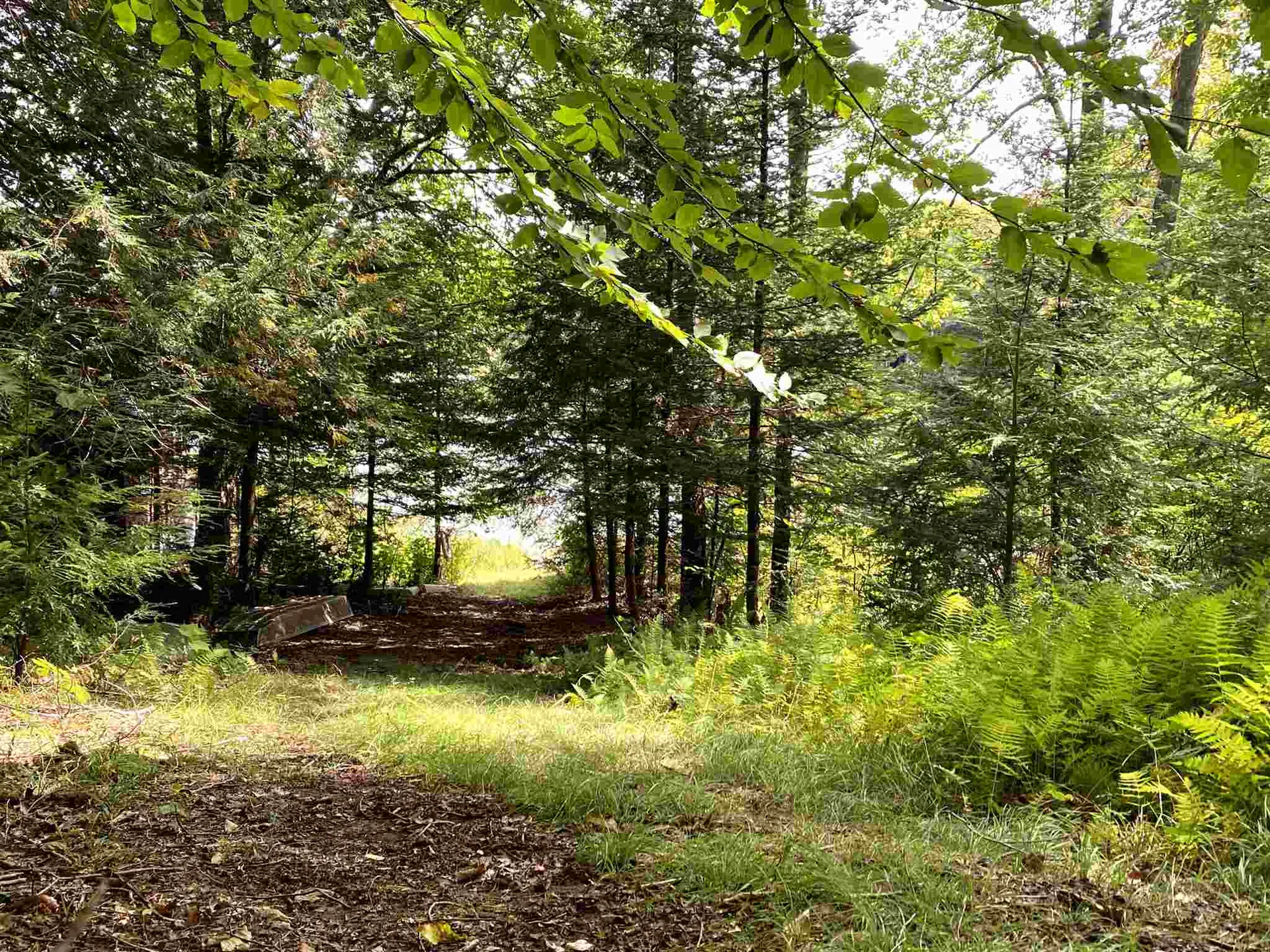 1114 Miller Pond Road Grantham NH 03753