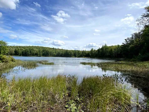 1114 Miller Pond Road Grantham NH 03753