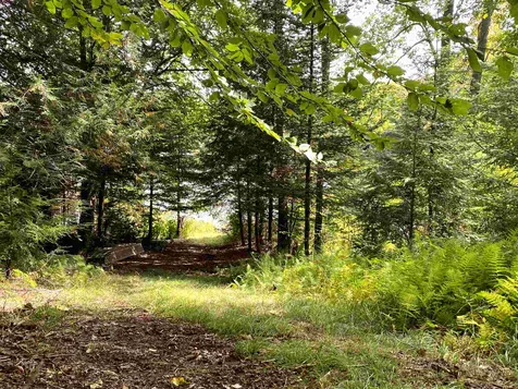1114 Miller Pond Road Grantham NH 03753