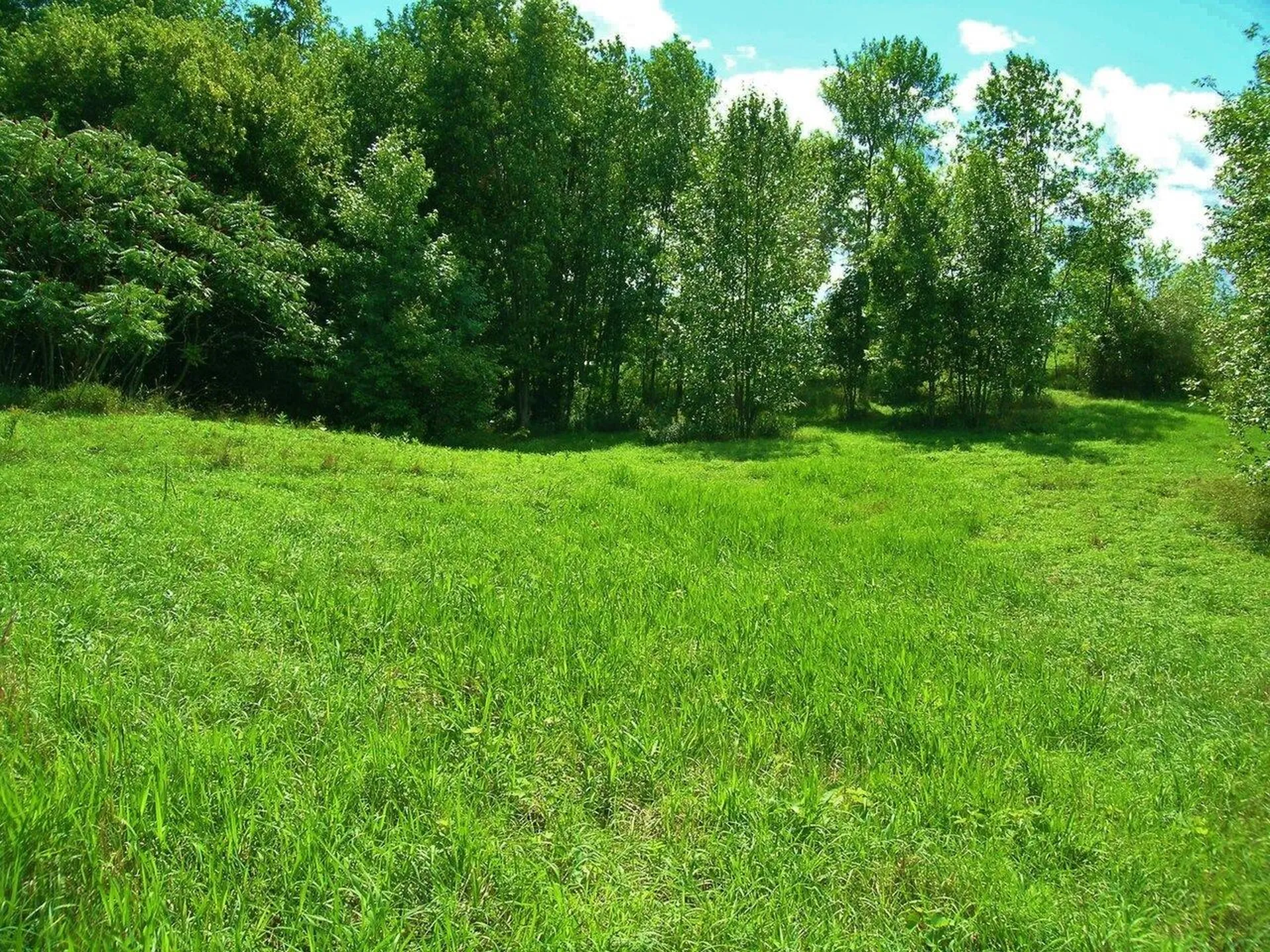 Lot #1 Terrapin Lane Alburgh VT 05440