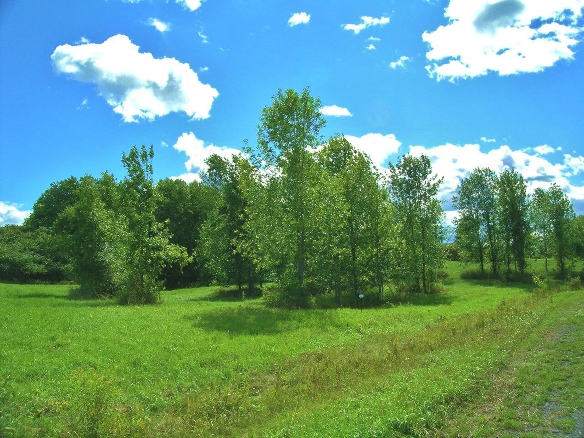 Lot #1 Terrapin Lane Alburgh VT 05440