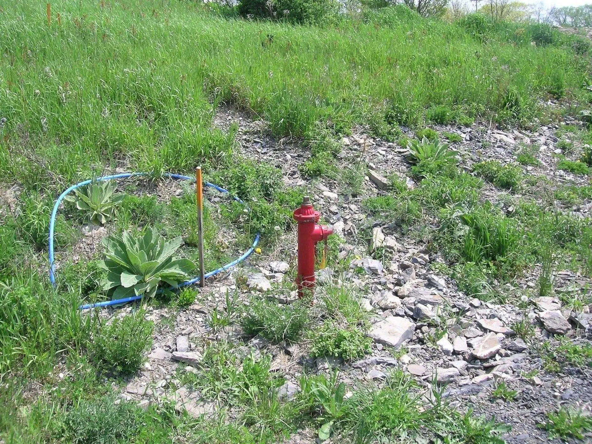 Lot #1 Terrapin Lane Alburgh VT 05440
