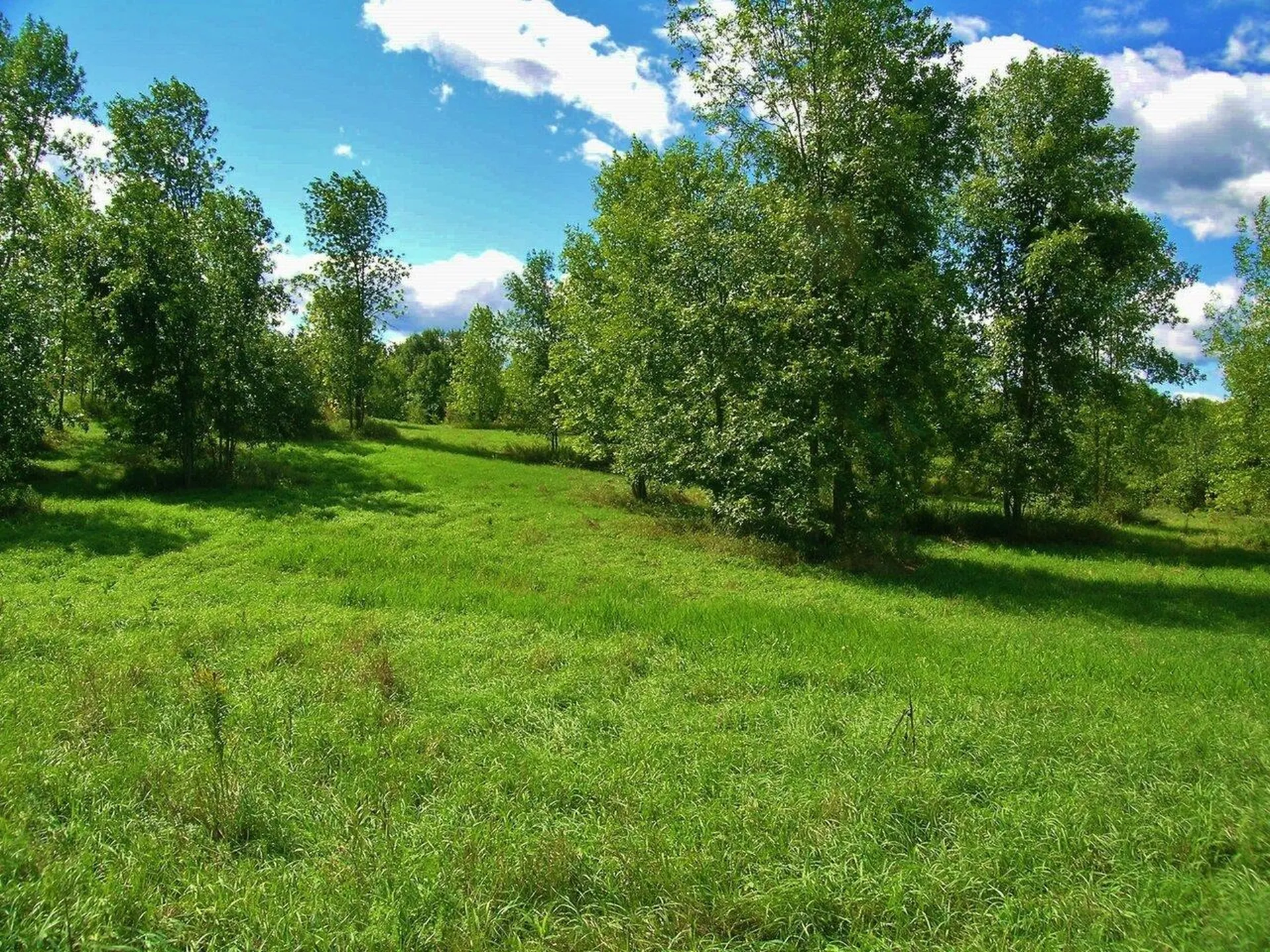 Lot #1 Terrapin Lane Alburgh VT 05440