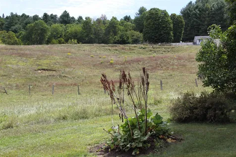 88 Sunnyside Lane Williamstown VT 05679