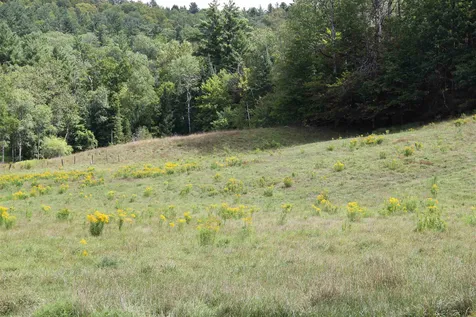 88 Sunnyside Lane Williamstown VT 05679