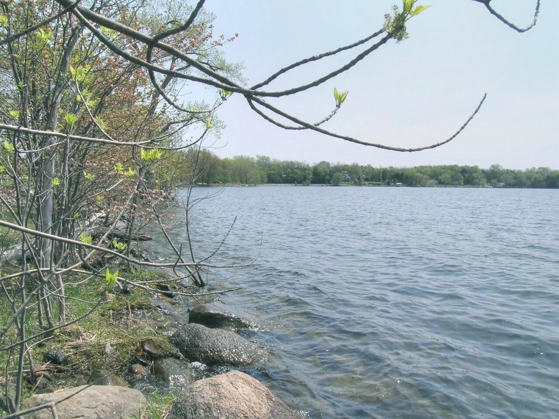 Lot #5 Terrapin Lane Alburgh VT 05440