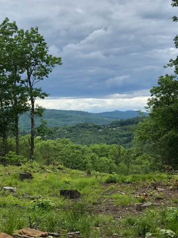 Homesite 12 Peaked Hill Ashland NH 03217