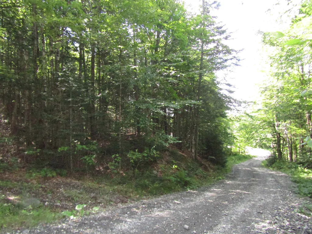 Lot 2a Sullivan Drive Stewartstown NH 03576