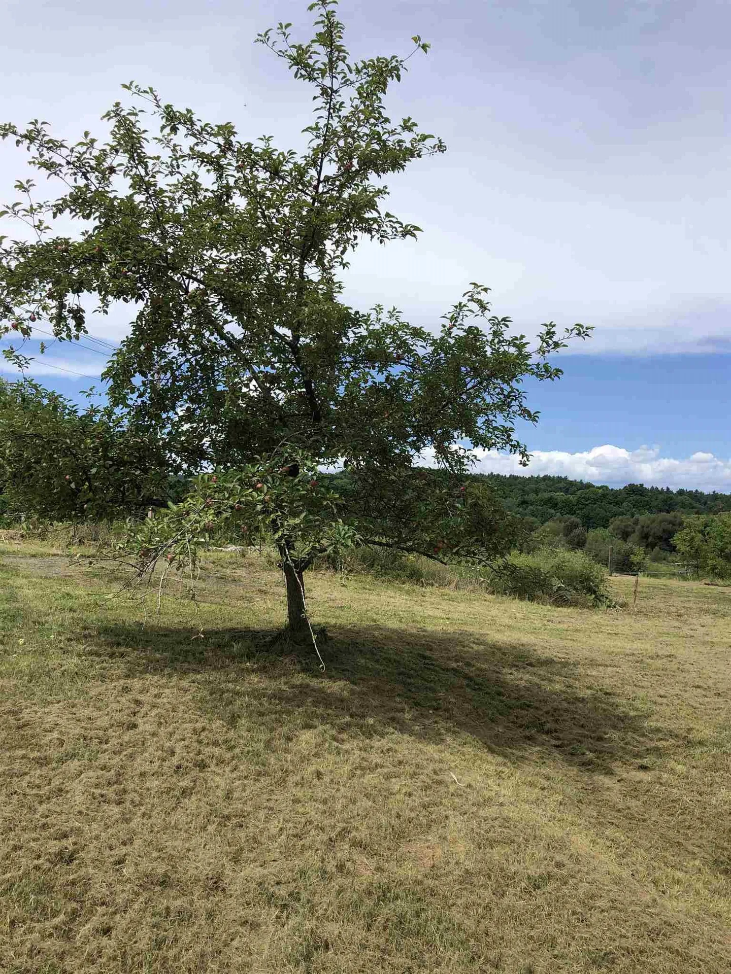 57 East Extension Orleans VT 05860