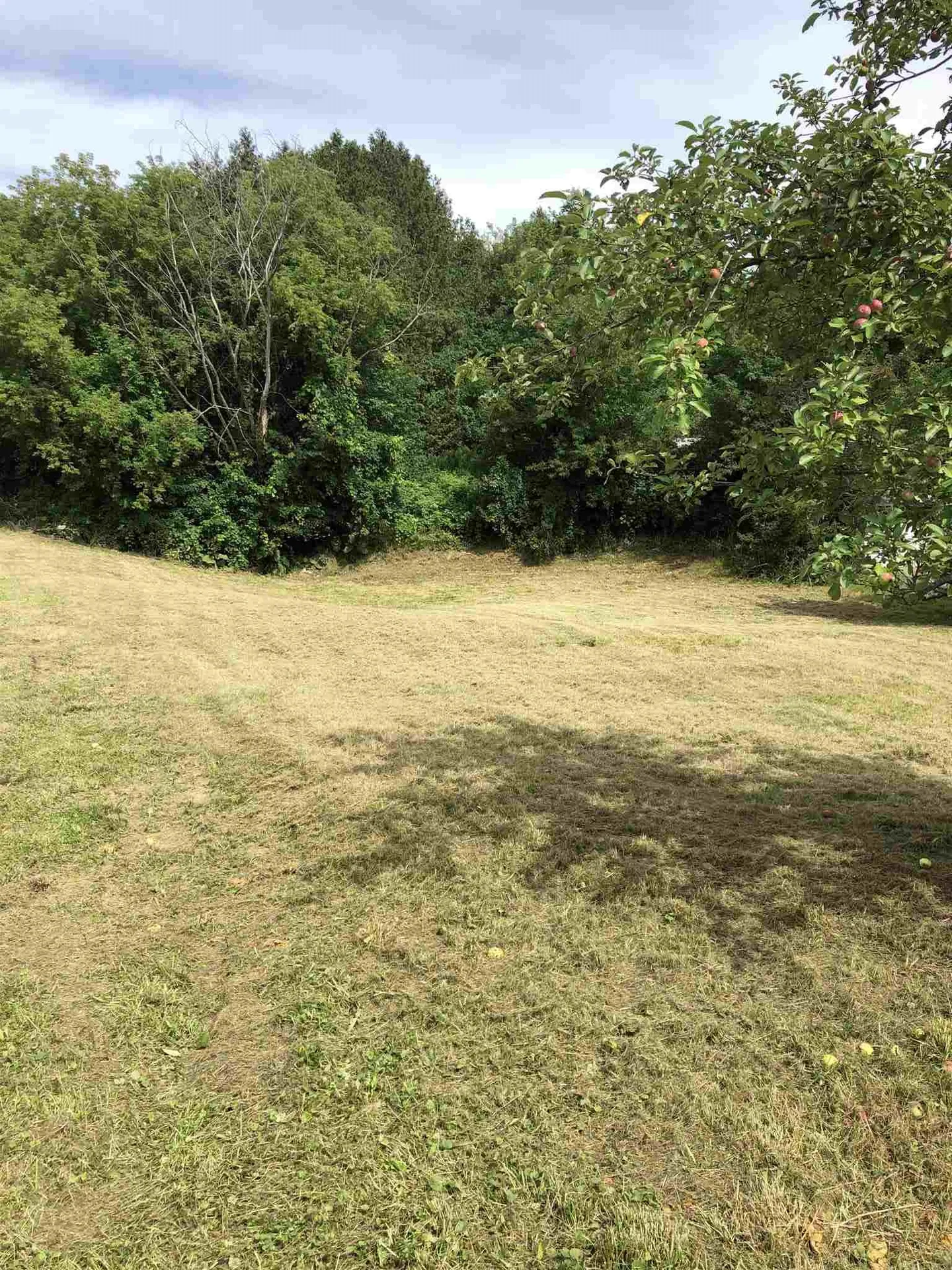 57 East Extension Orleans VT 05860