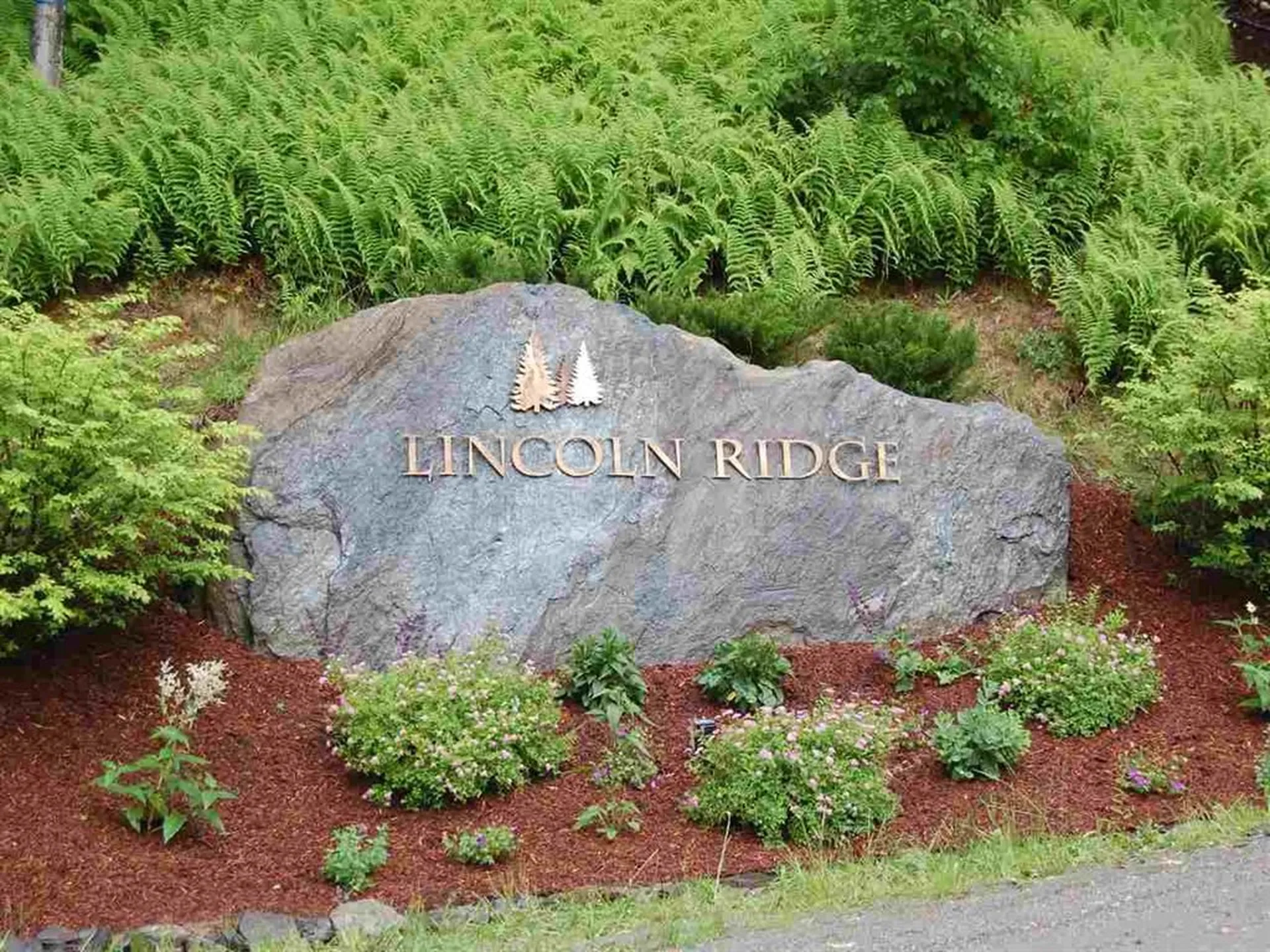 255 Boulder Pass Road Warren VT 05674