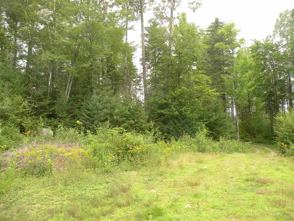 256 Colby Road Whitefield NH 03598