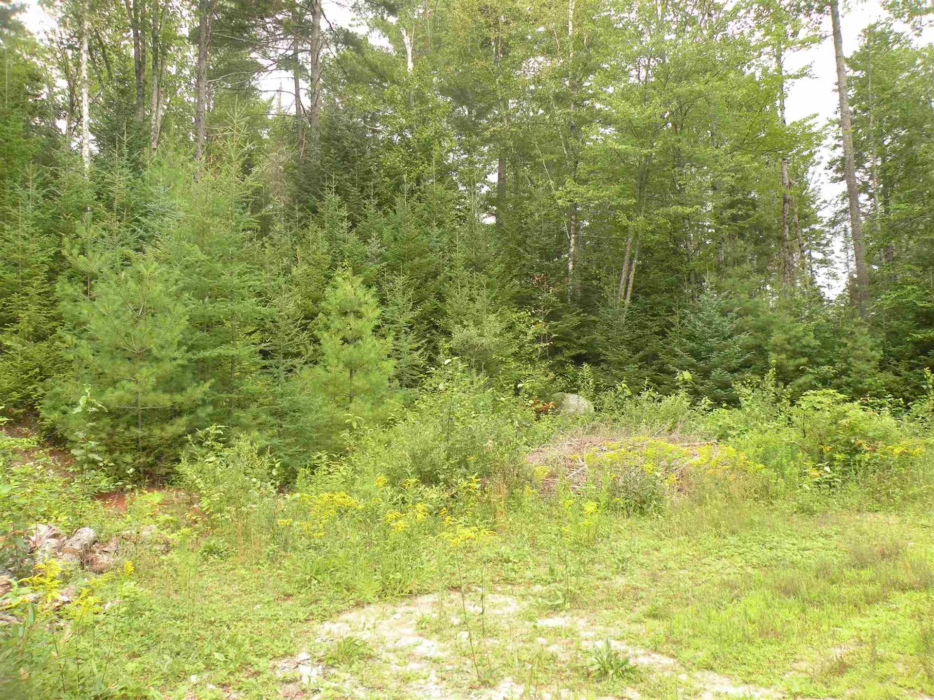 256 Colby Road Whitefield NH 03598