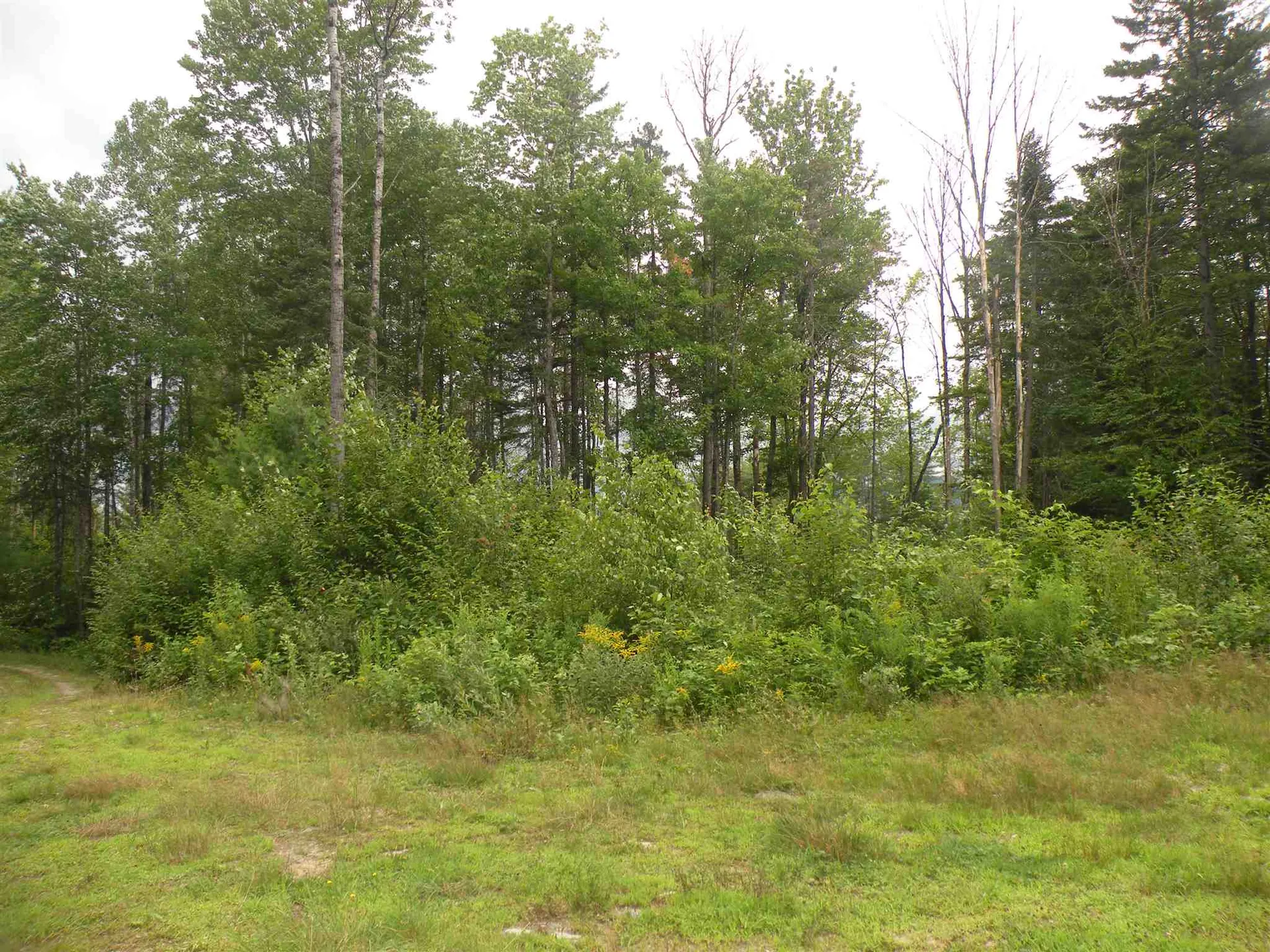 256 Colby Road Whitefield NH 03598