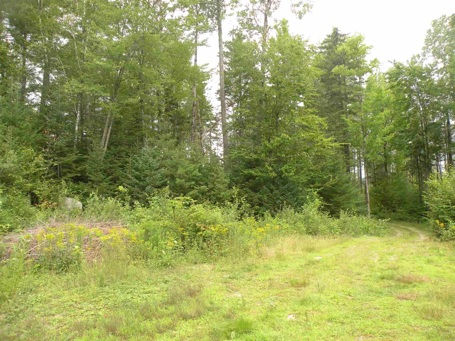 256 Colby Road Whitefield NH 03598