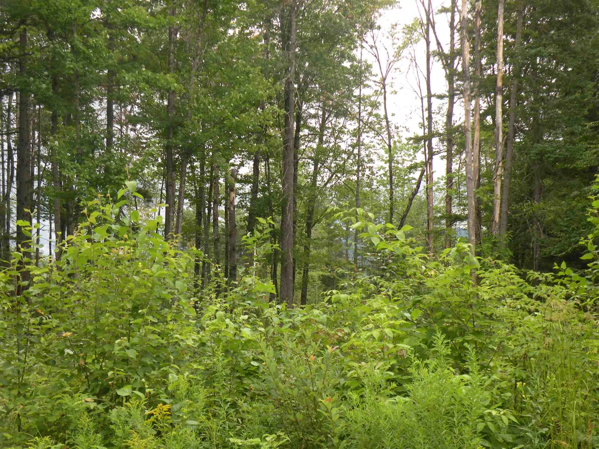 256 Colby Road Whitefield NH 03598
