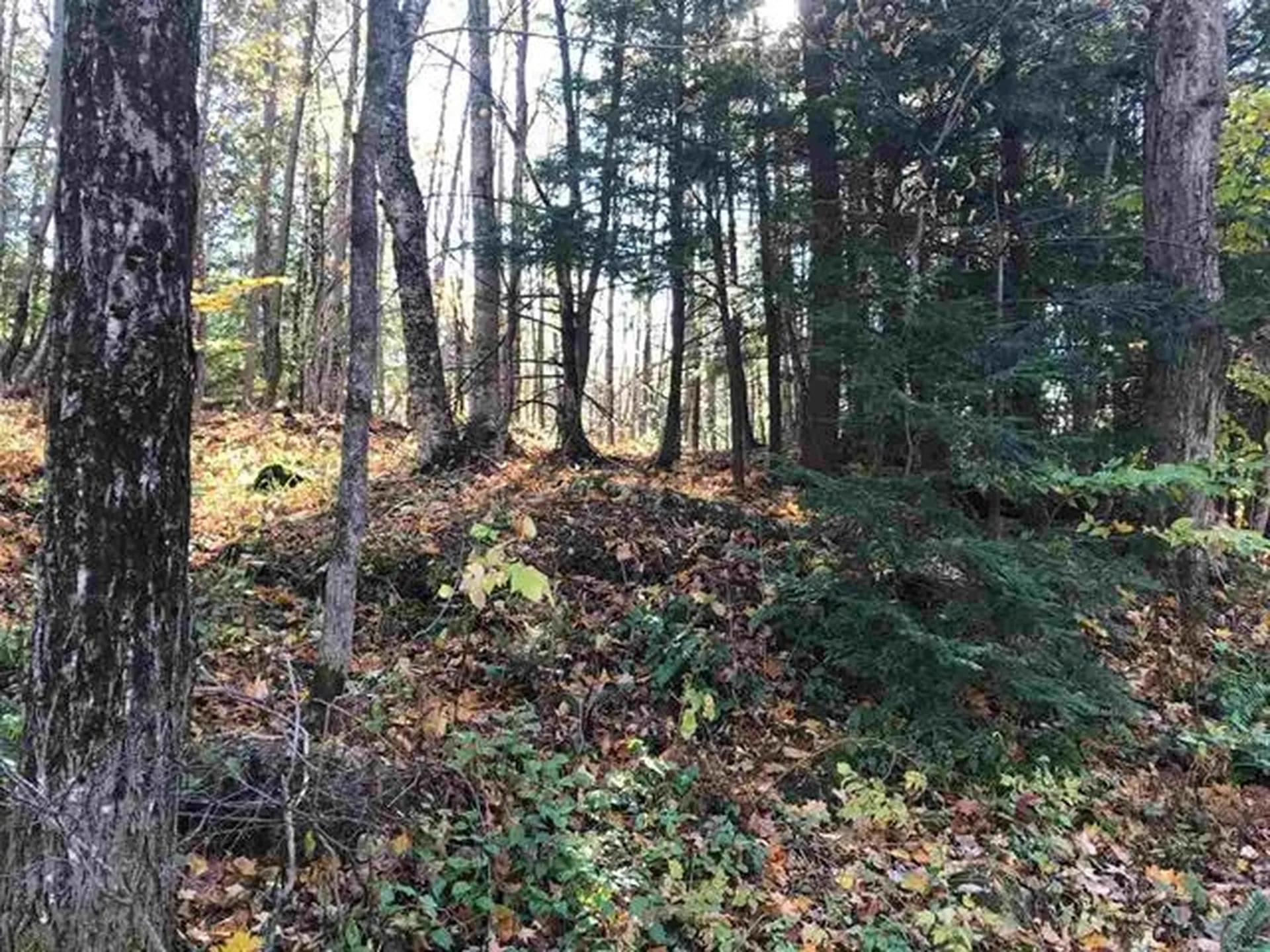 00 Regan Road Montgomery VT 05471