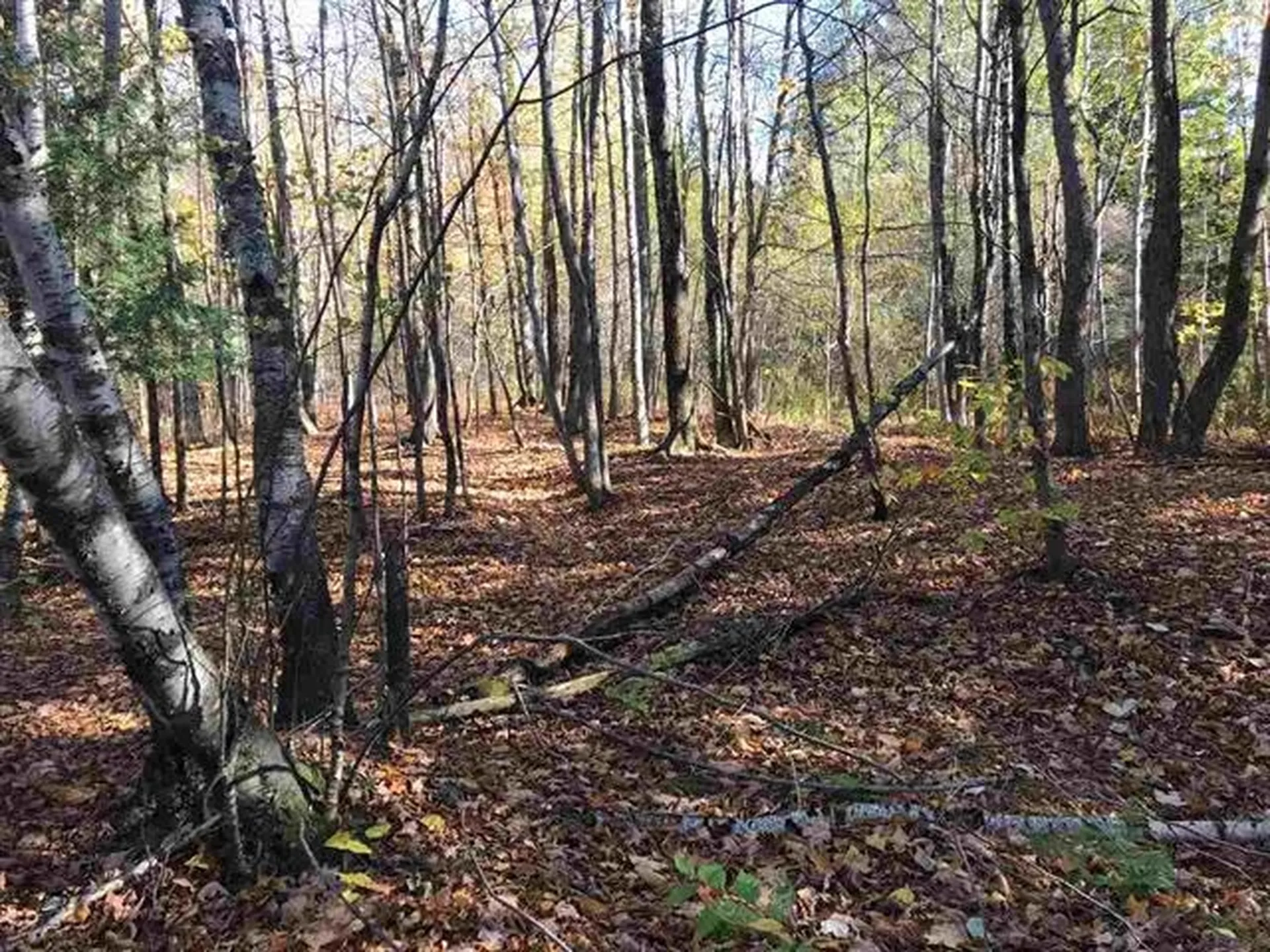 00 Regan Road Montgomery VT 05471