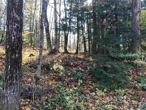 00 Regan Road Montgomery VT 05471