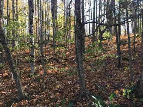 00 Regan Road Montgomery VT 05471