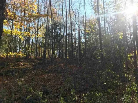 00 Regan Road Montgomery VT 05471