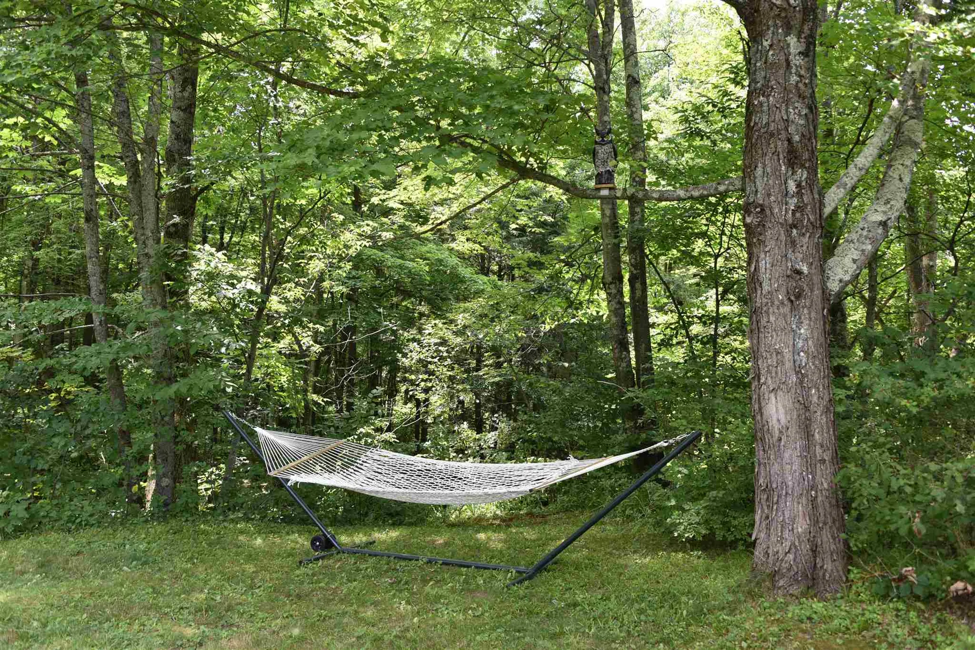 252 River Road Underhill VT 05489